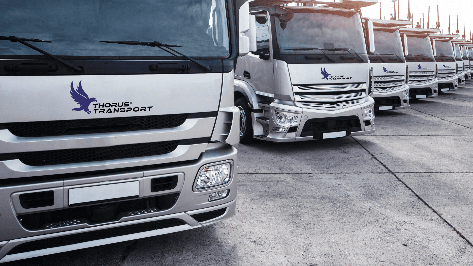 Camion Thorus Transport
